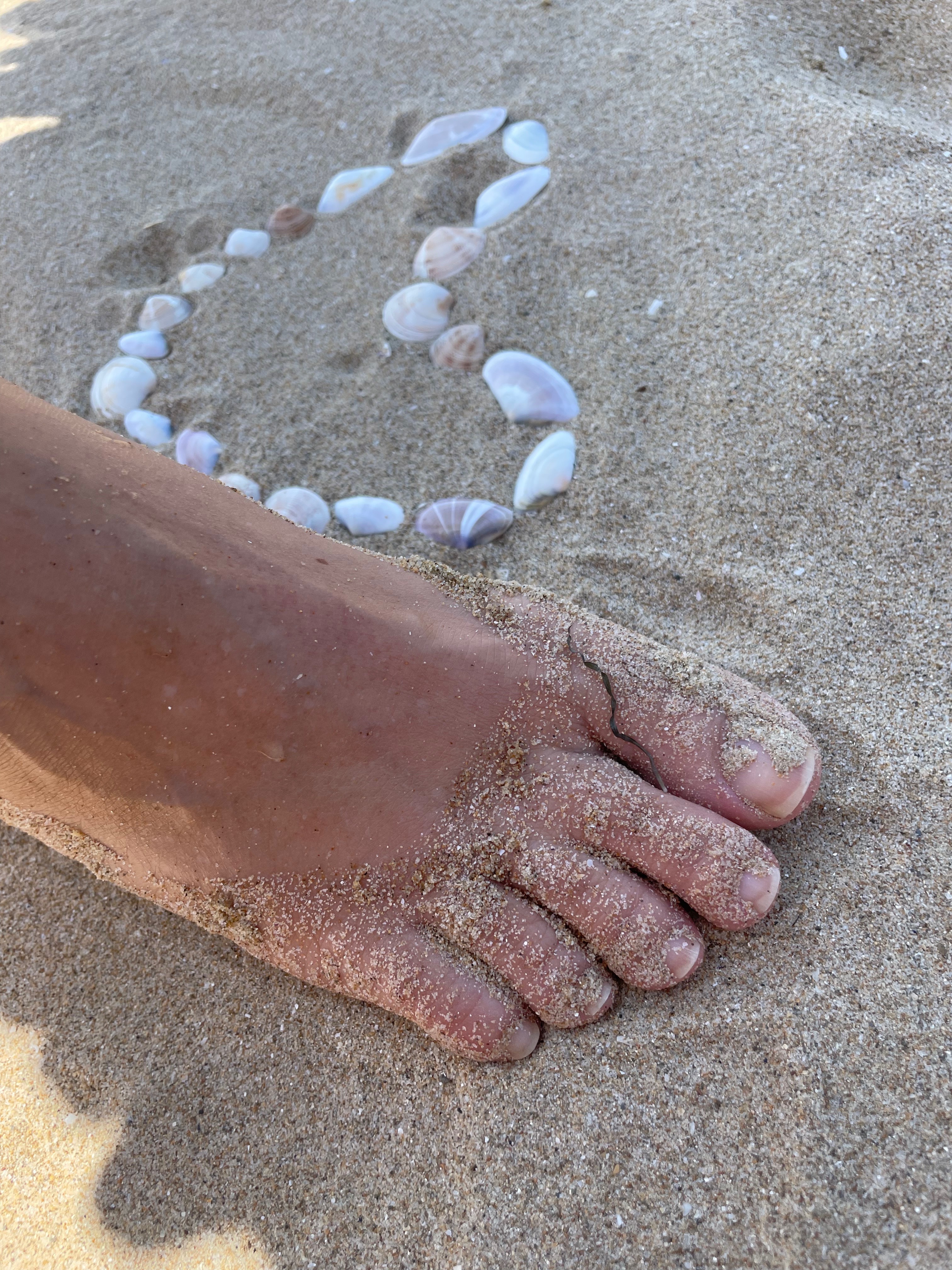 Bare Soles profile