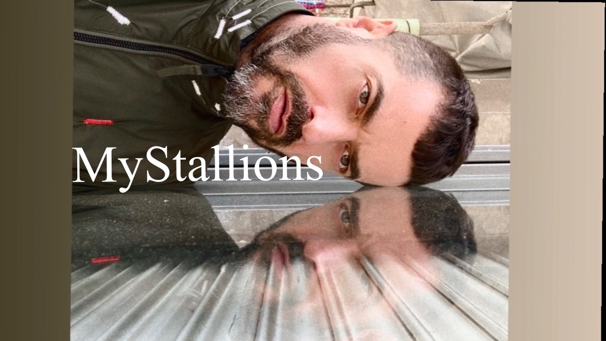 MyStallions thumbnail