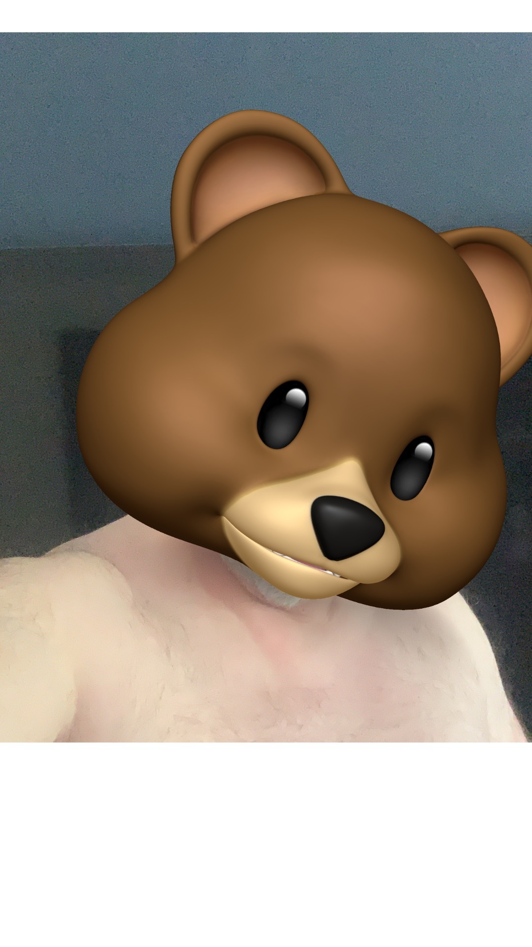 anonymous_bear_xxxcover