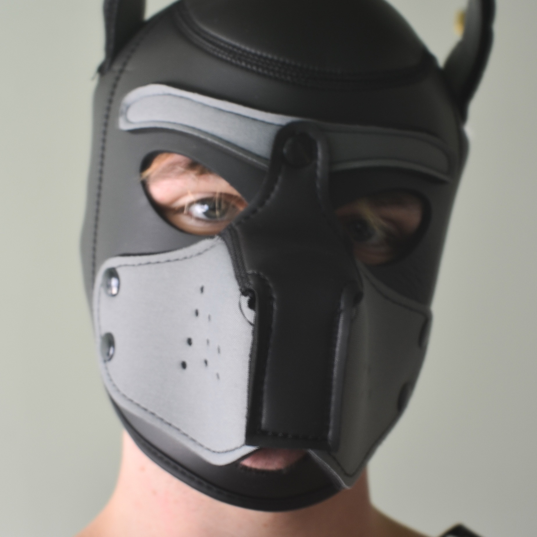 Pup Zazel profile