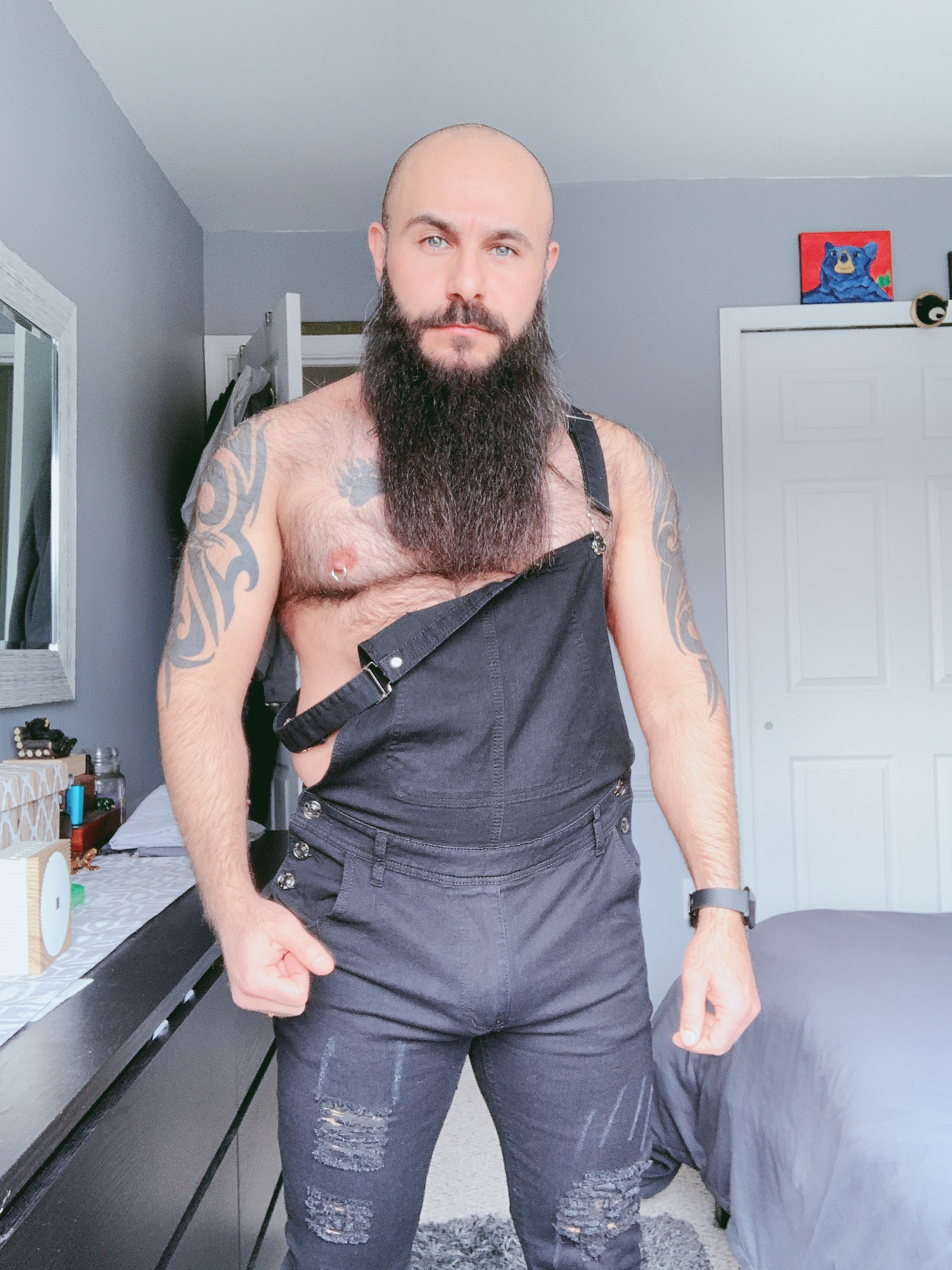 beardedbearmancover