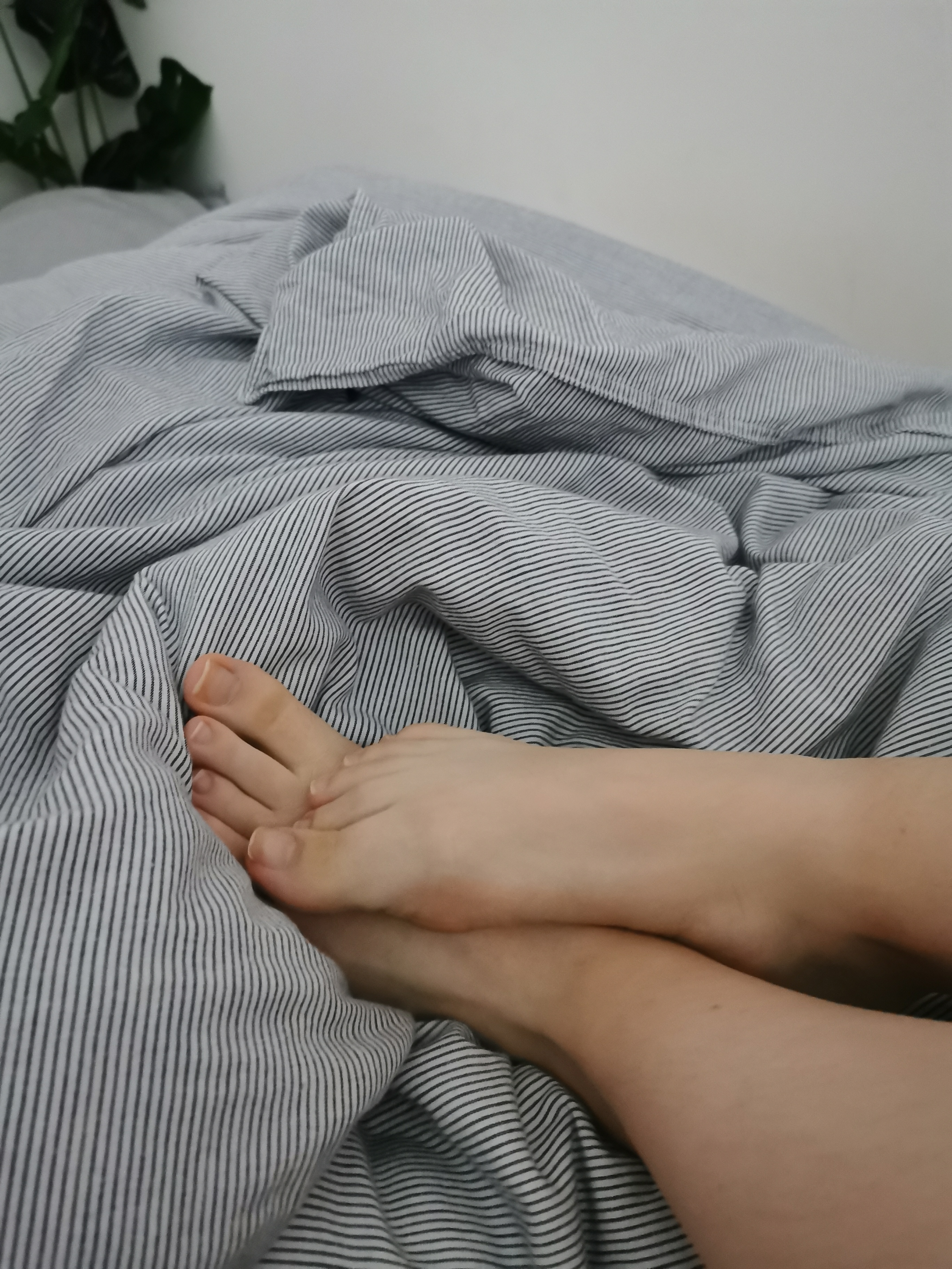 ANGEL FEET profile