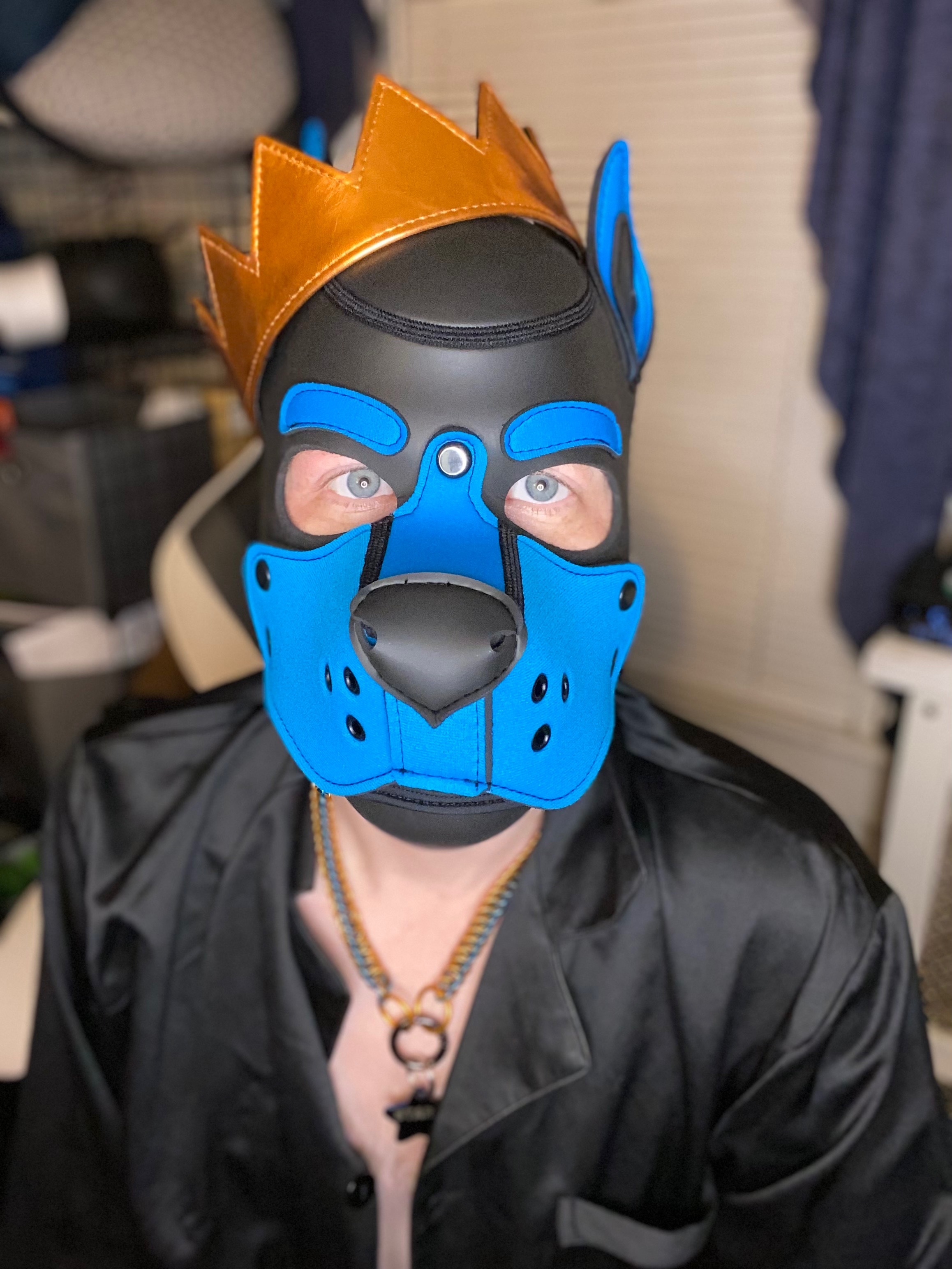 Starr_Pup profile