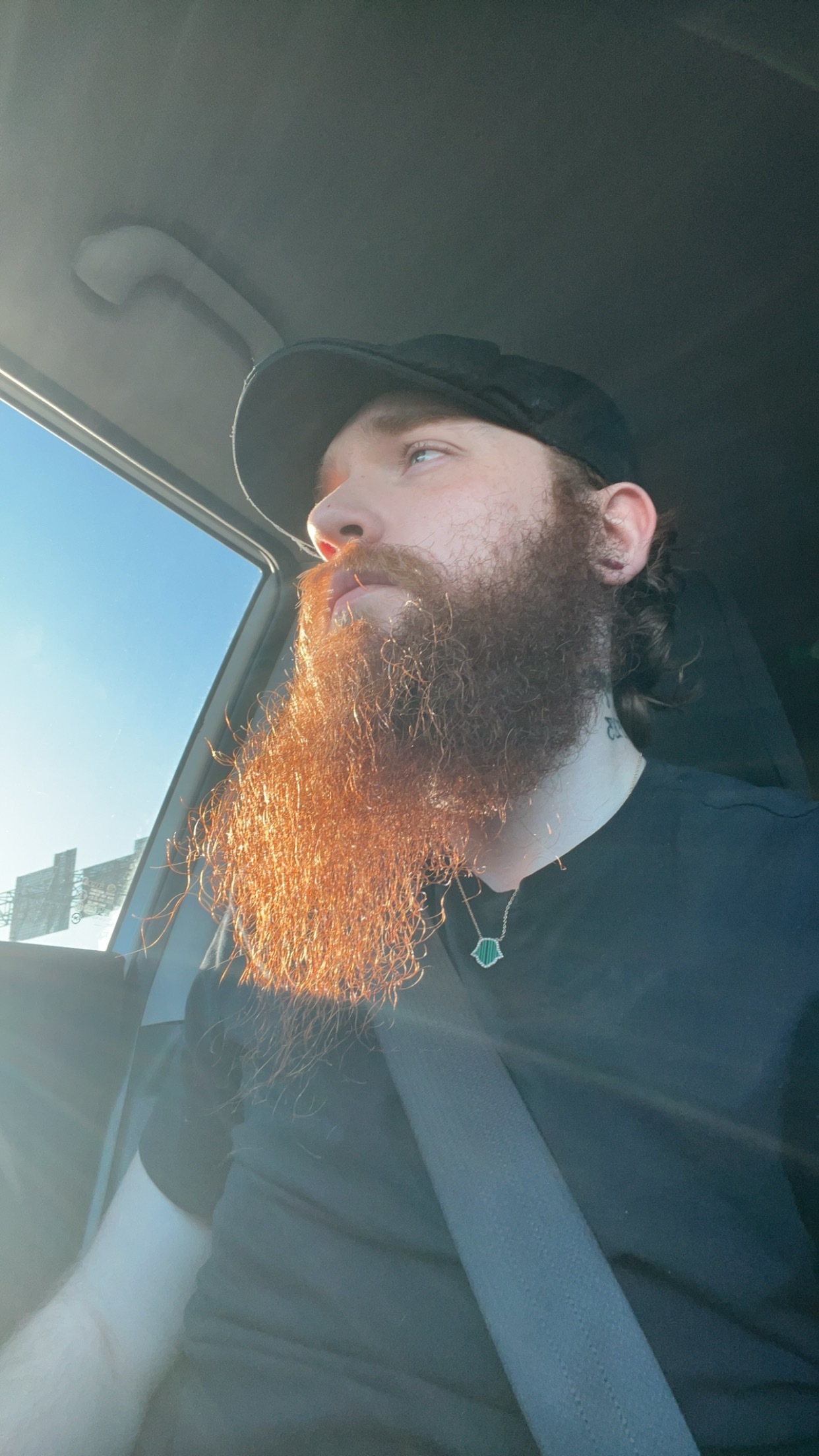 RedBeard profile