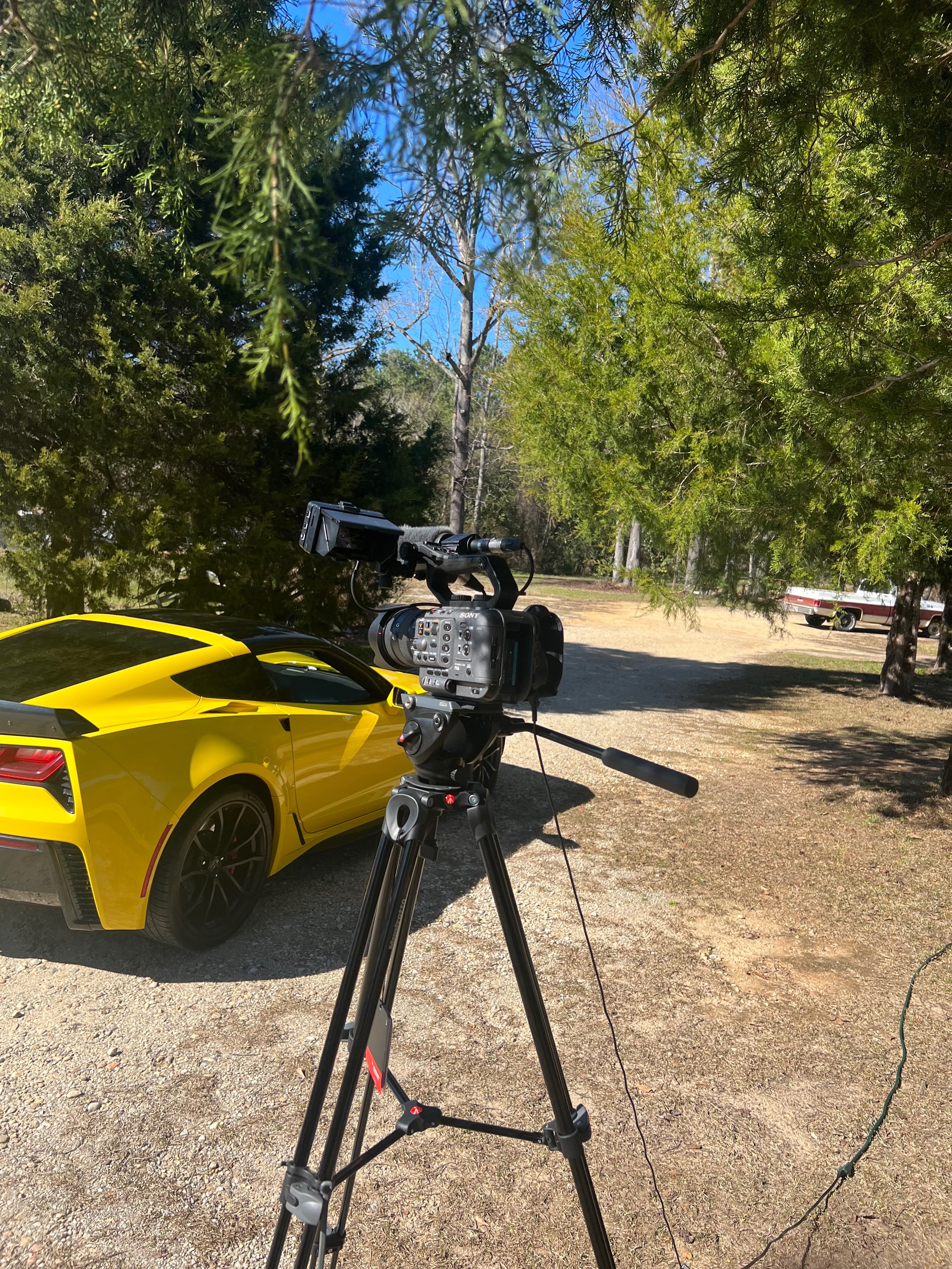 Corvette Tee profile