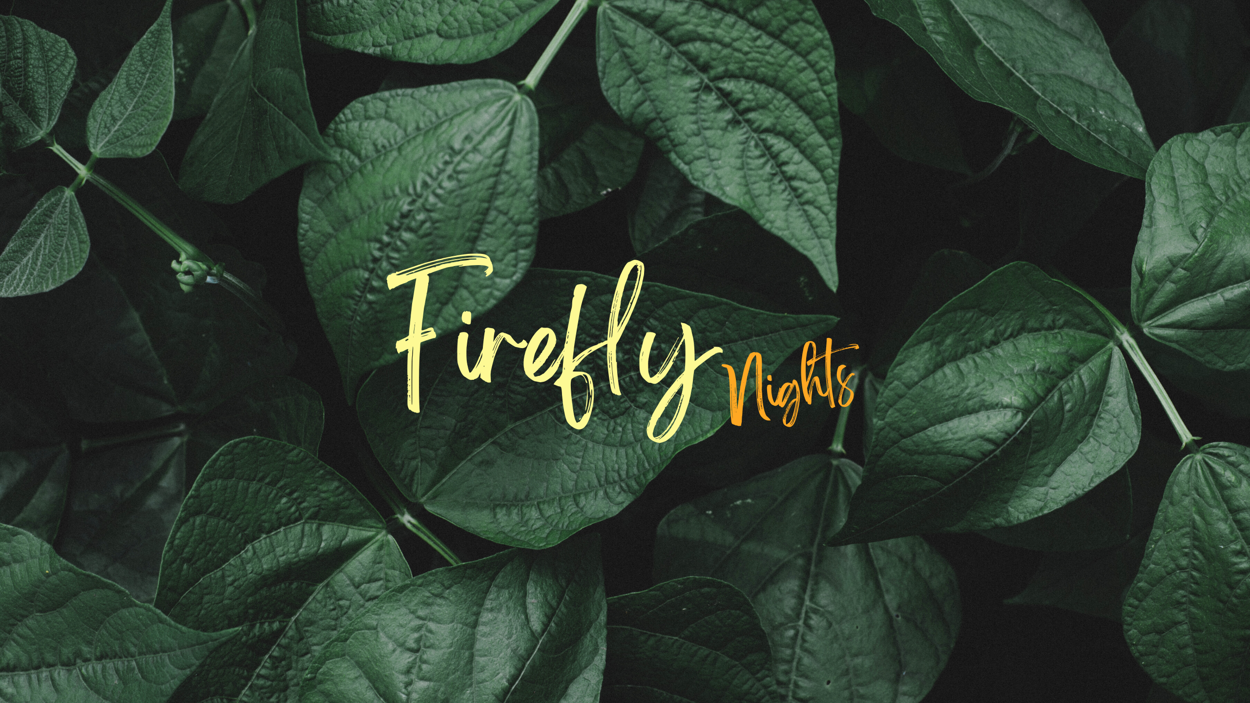 Firefly Nights thumbnail