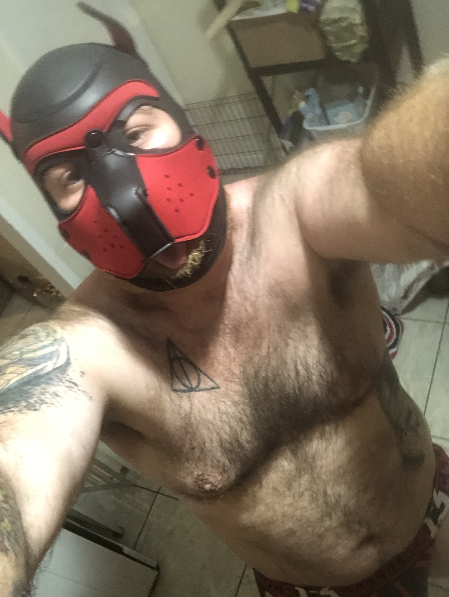 musclepupmerc profile