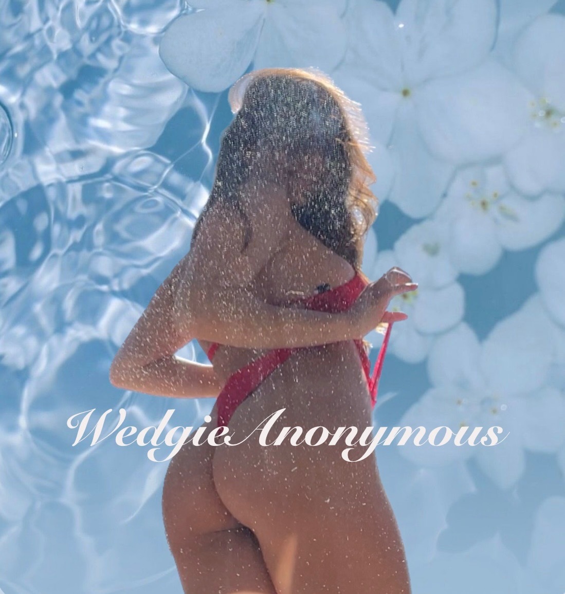 Wedgie Anonymous profile