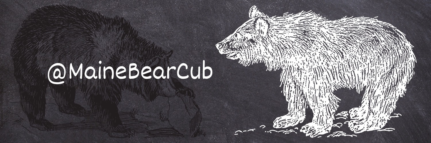 mainebearcub thumbnail