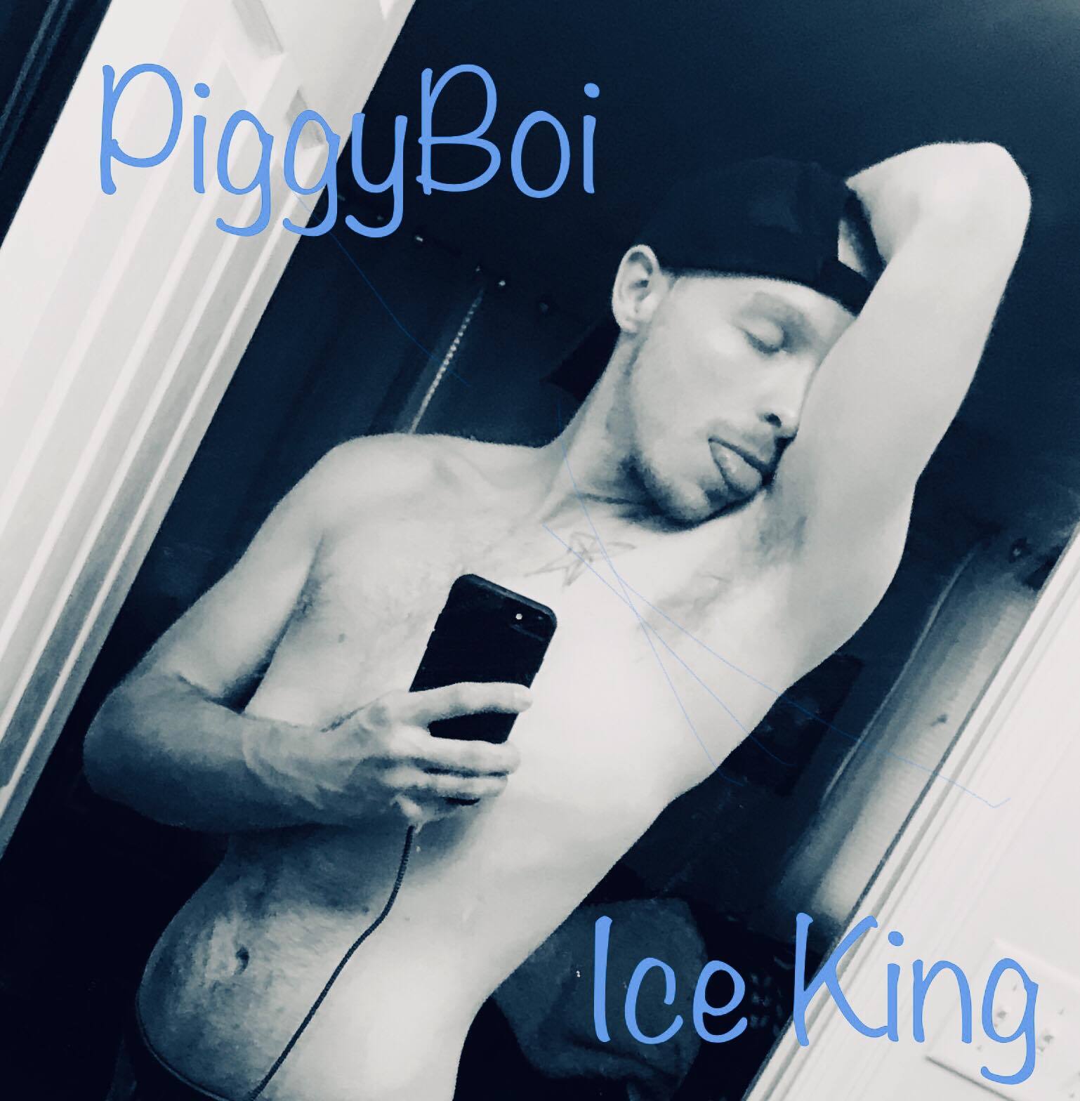 PiggyBoi-Ice King profile