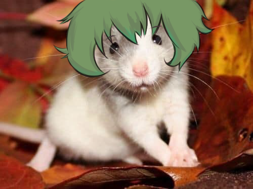 jratratrat thumbnail