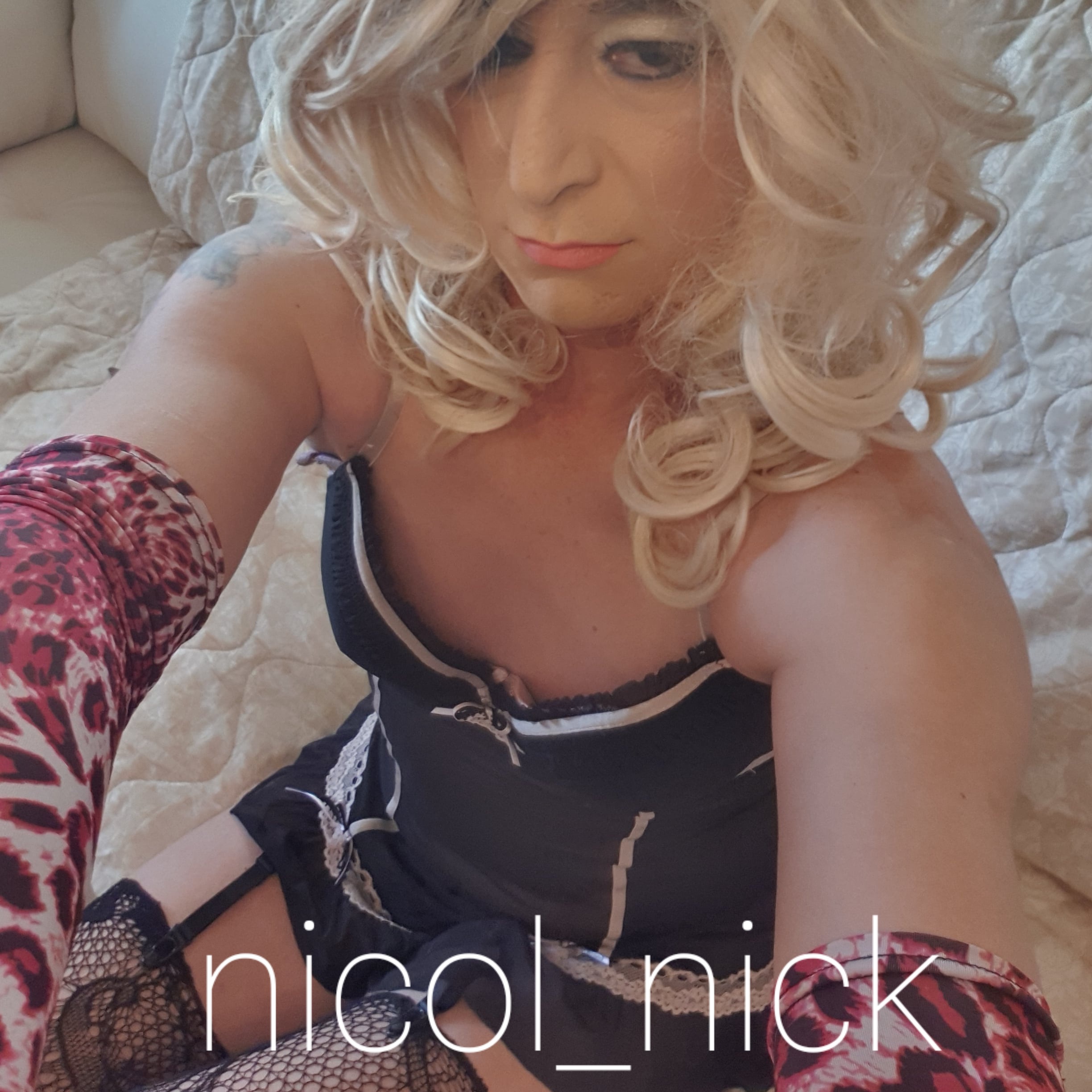 nicol_nick thumbnail