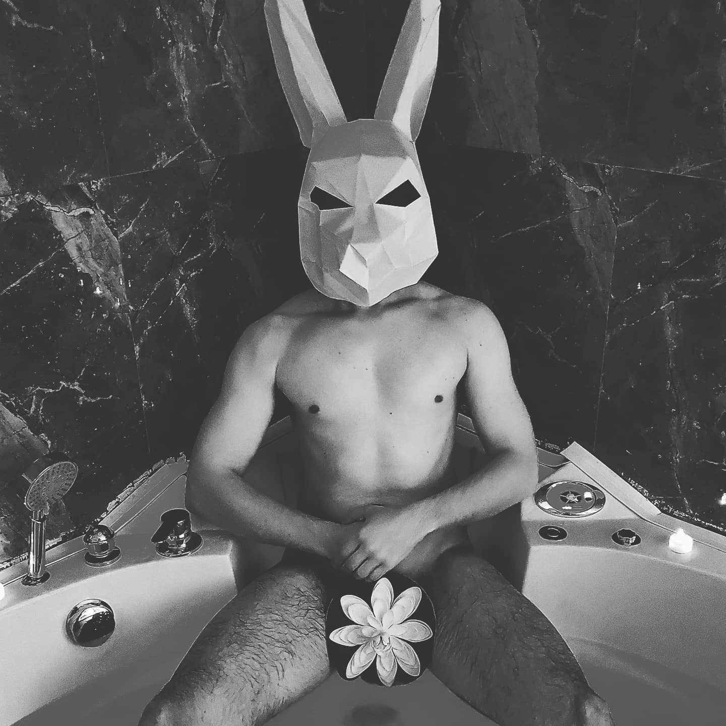 misterrabbit92 profile