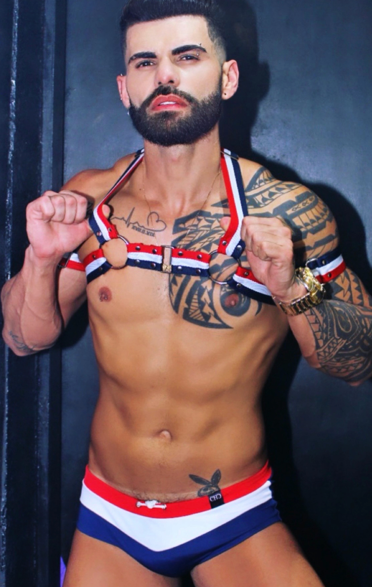 🌶️APOLLO FERNANDEZ OFICIAL 🌶️🇧🇷 profile