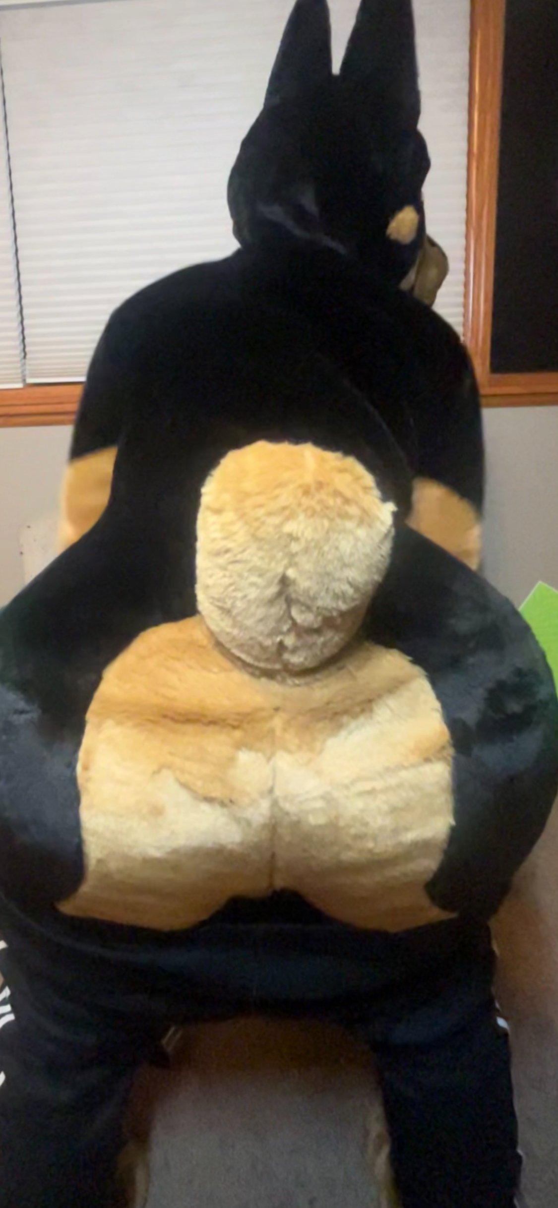 MURRSUIT profile