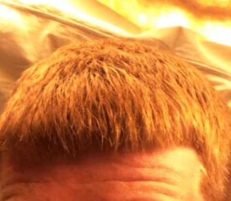 Hard Ginger Cock! profile