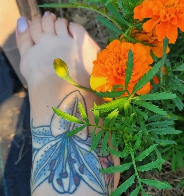 Barefootinthegarden profile