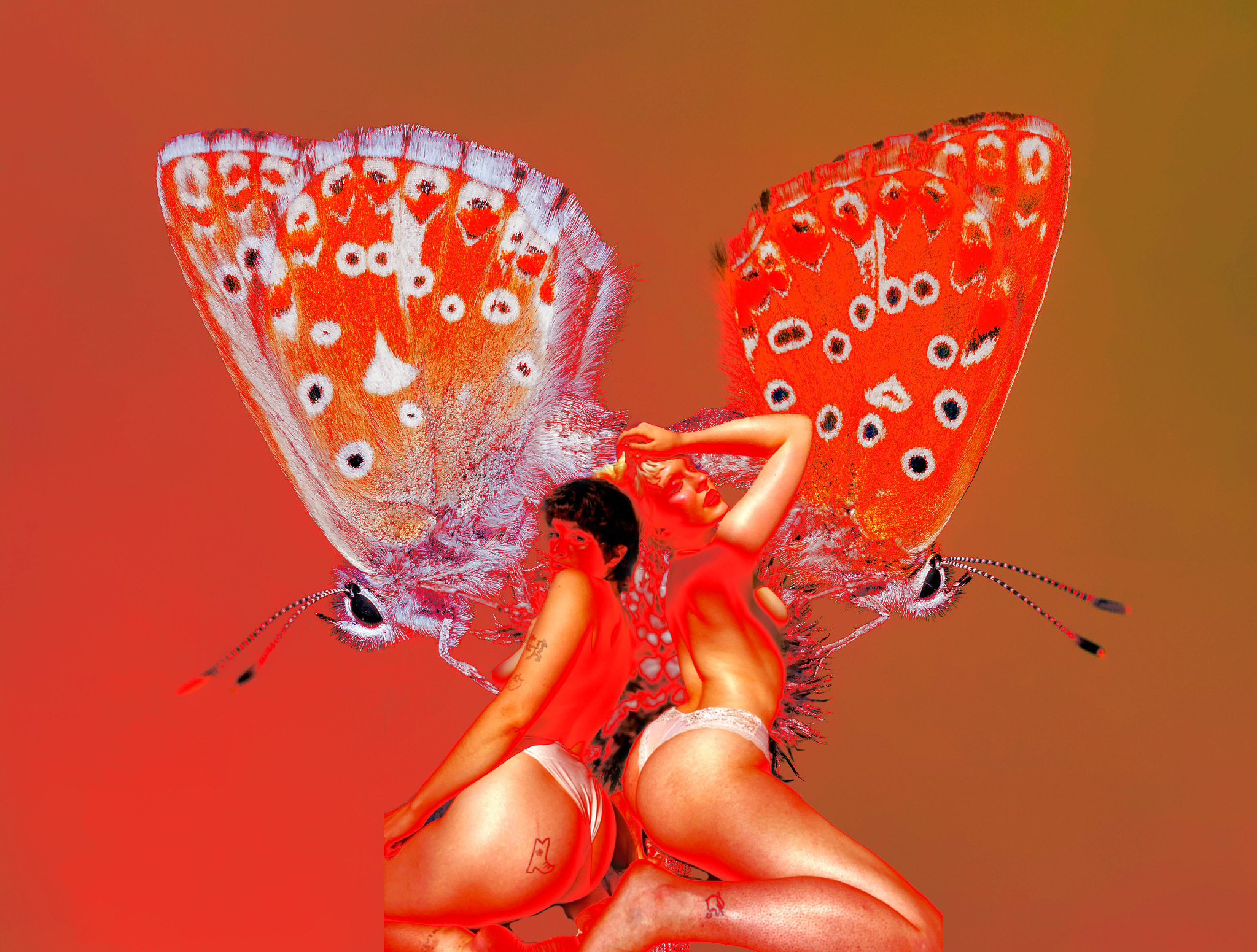 butterflyfantasy thumbnail