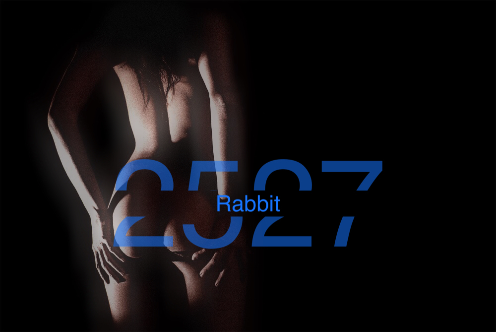 rabbit2527 thumbnail