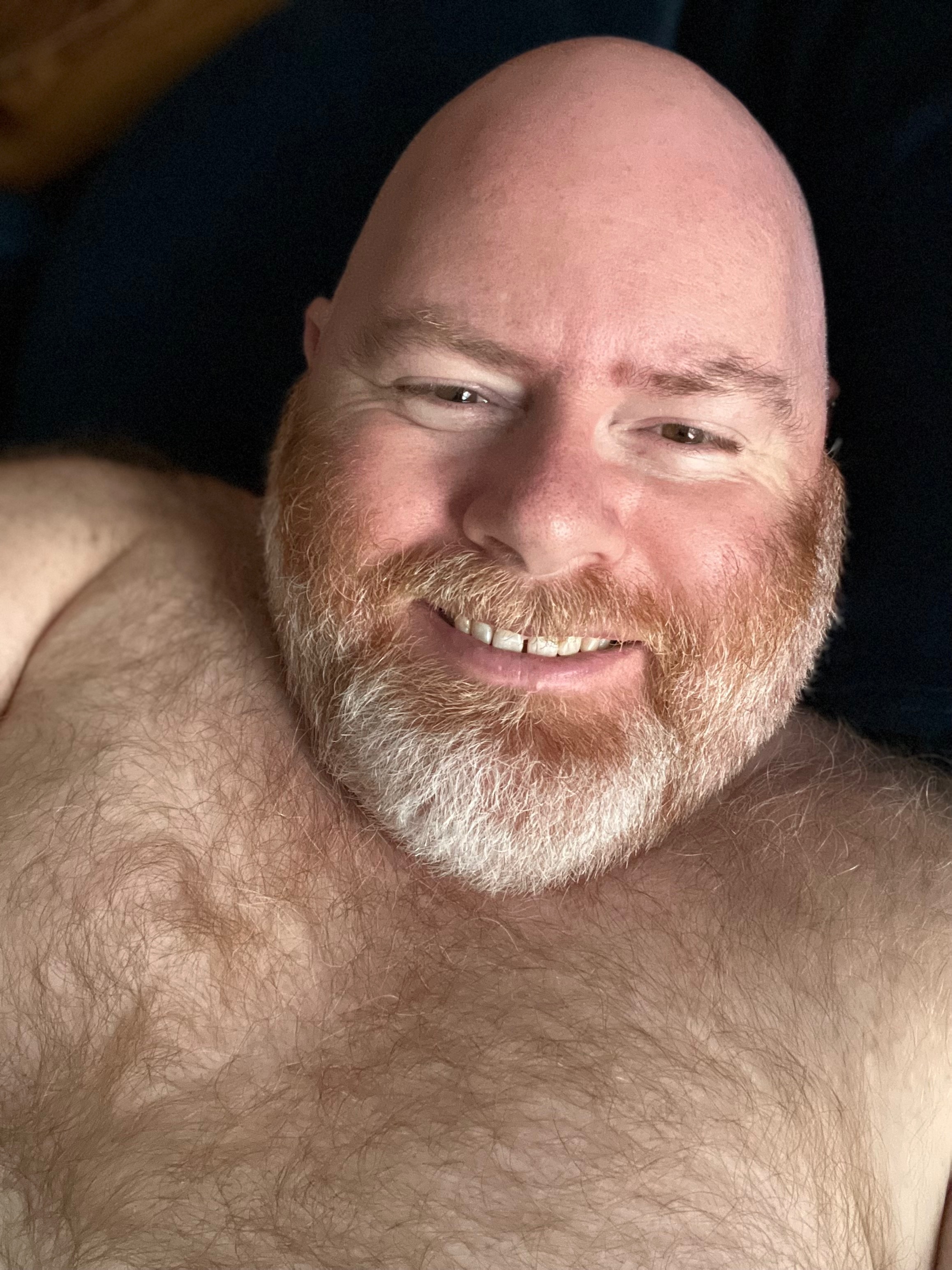 delawareredbear profile