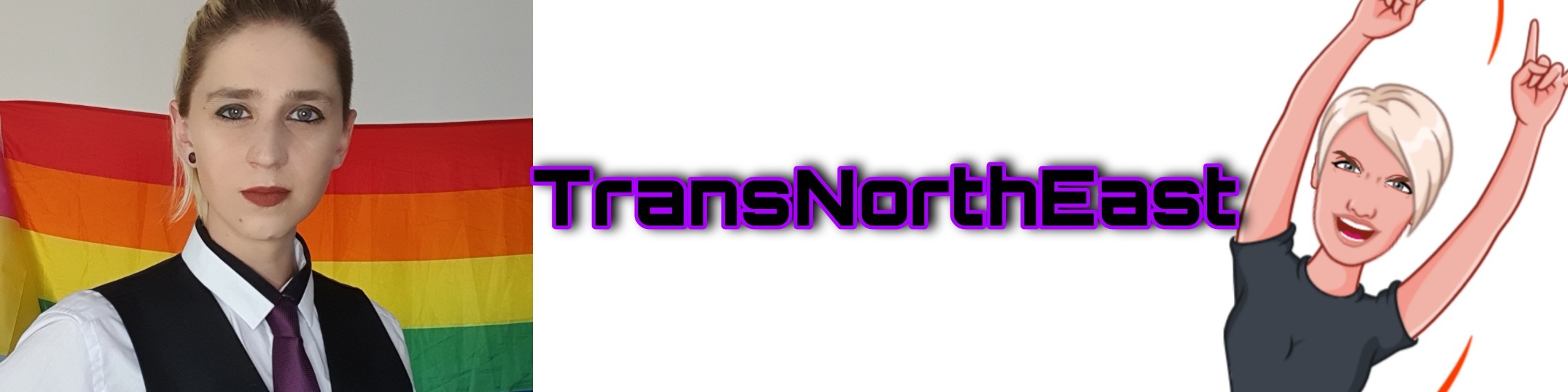 transnortheast thumbnail