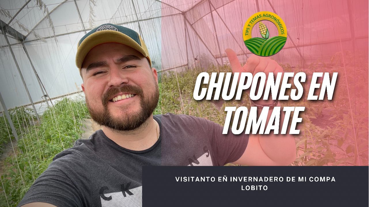 tipsytemasagronomicos1 thumbnail