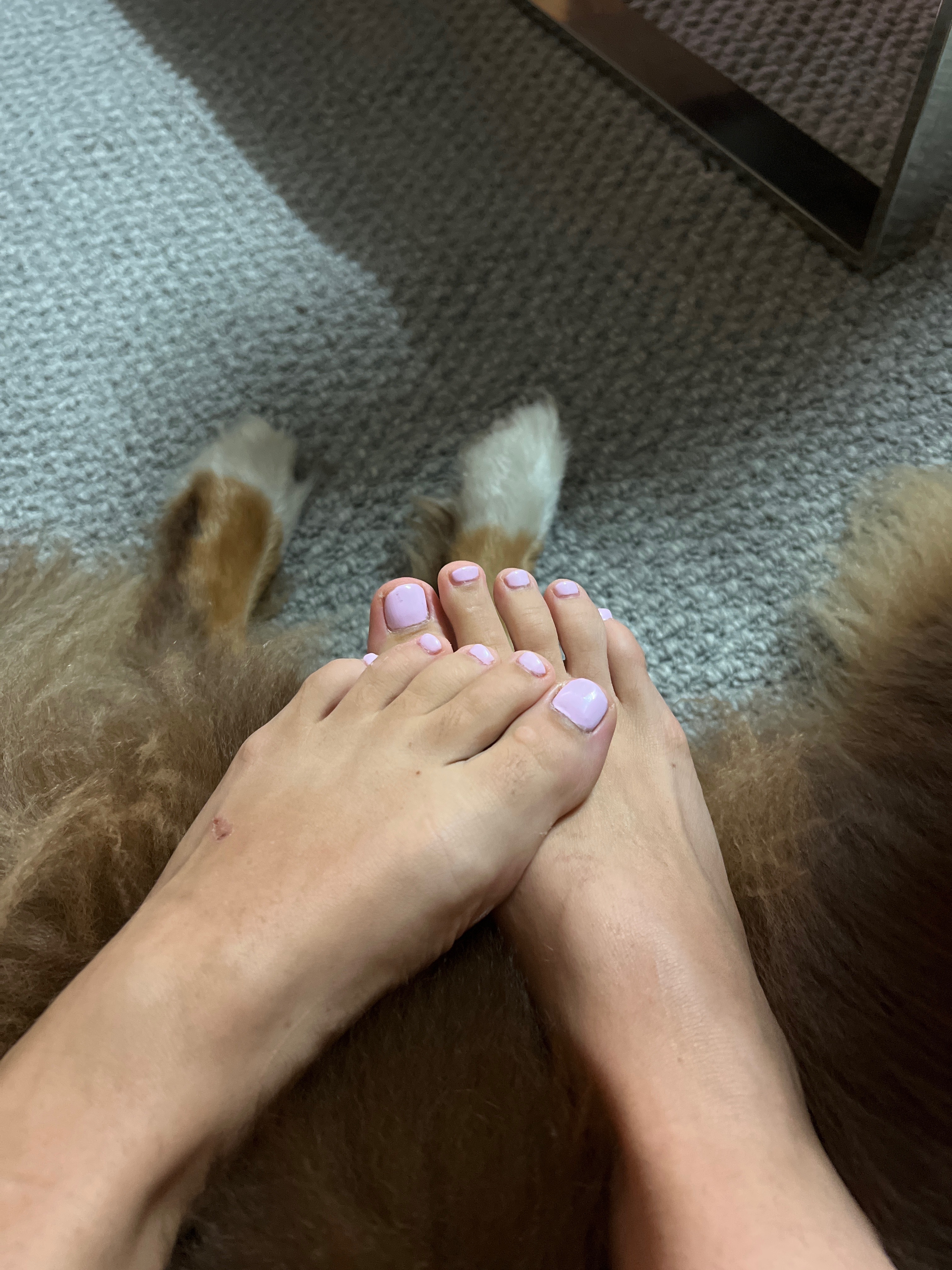 Aussiegirlfootfetish profile