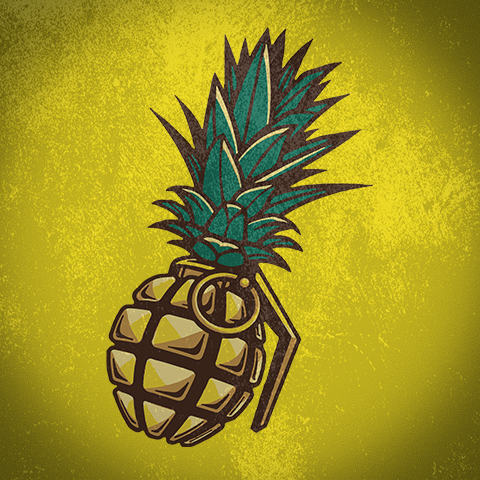 pineappleandtheboomcover