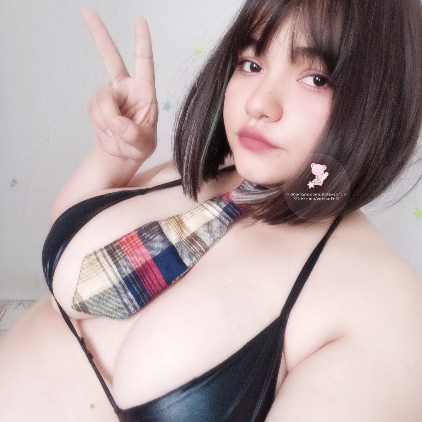 littlevsoft.free profile