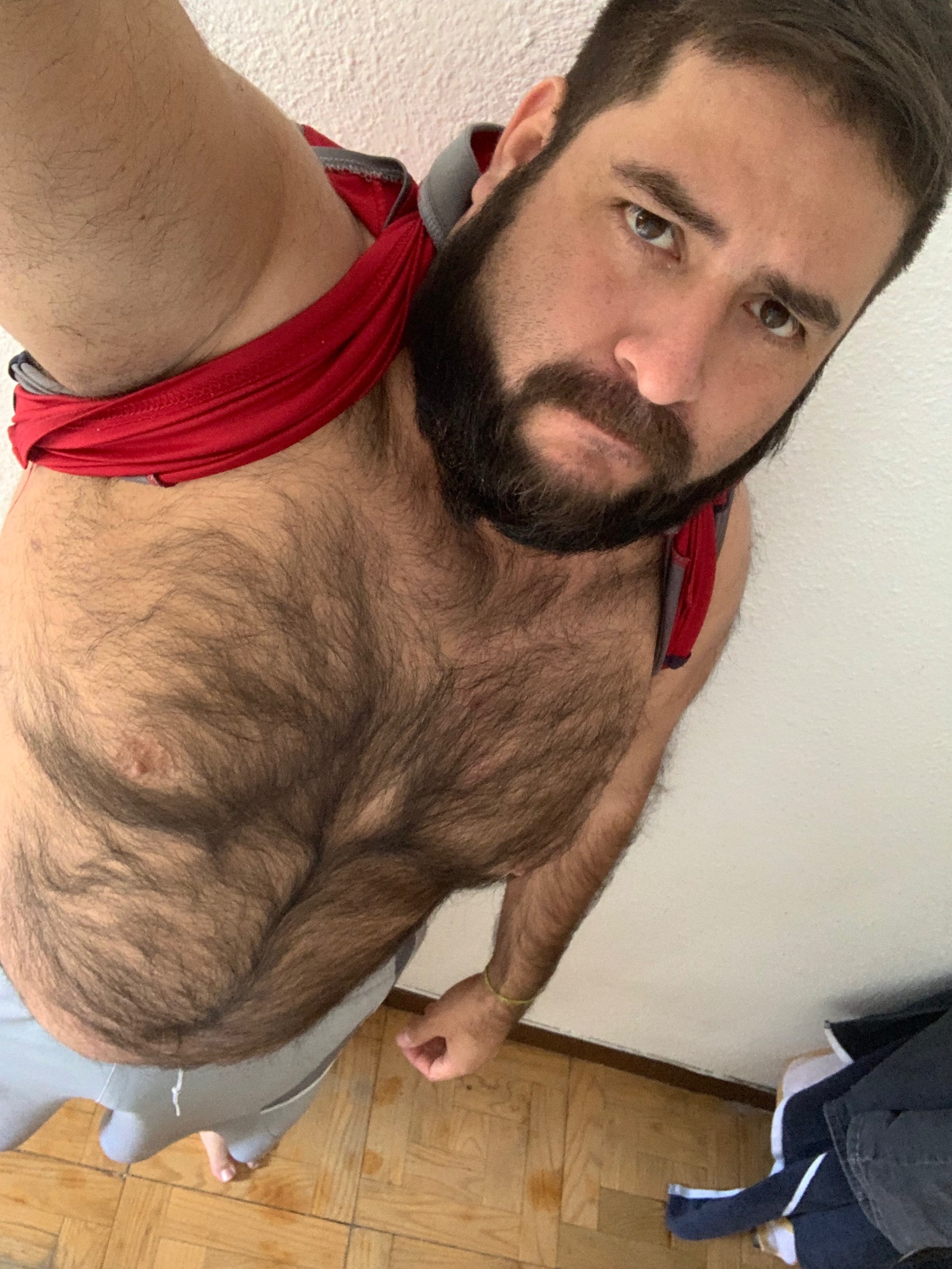 EL OSO JODEDOR 🐻 profile