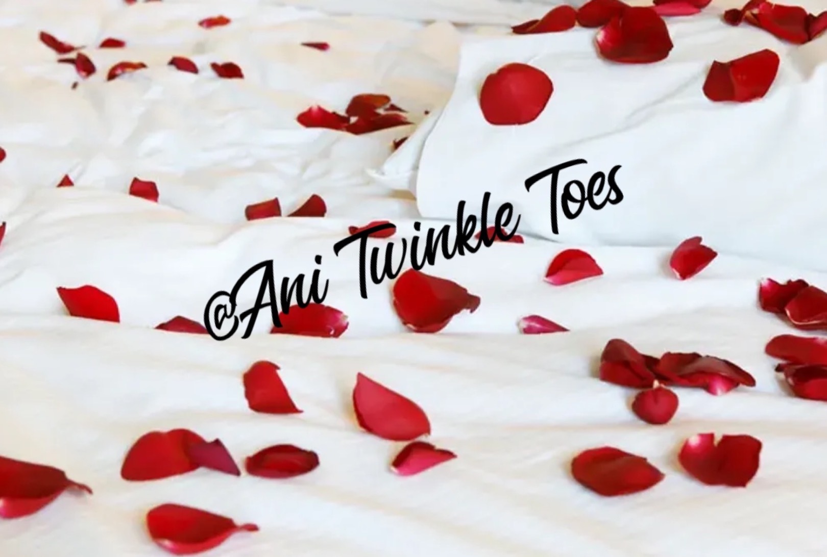 anitwinkletoes thumbnail