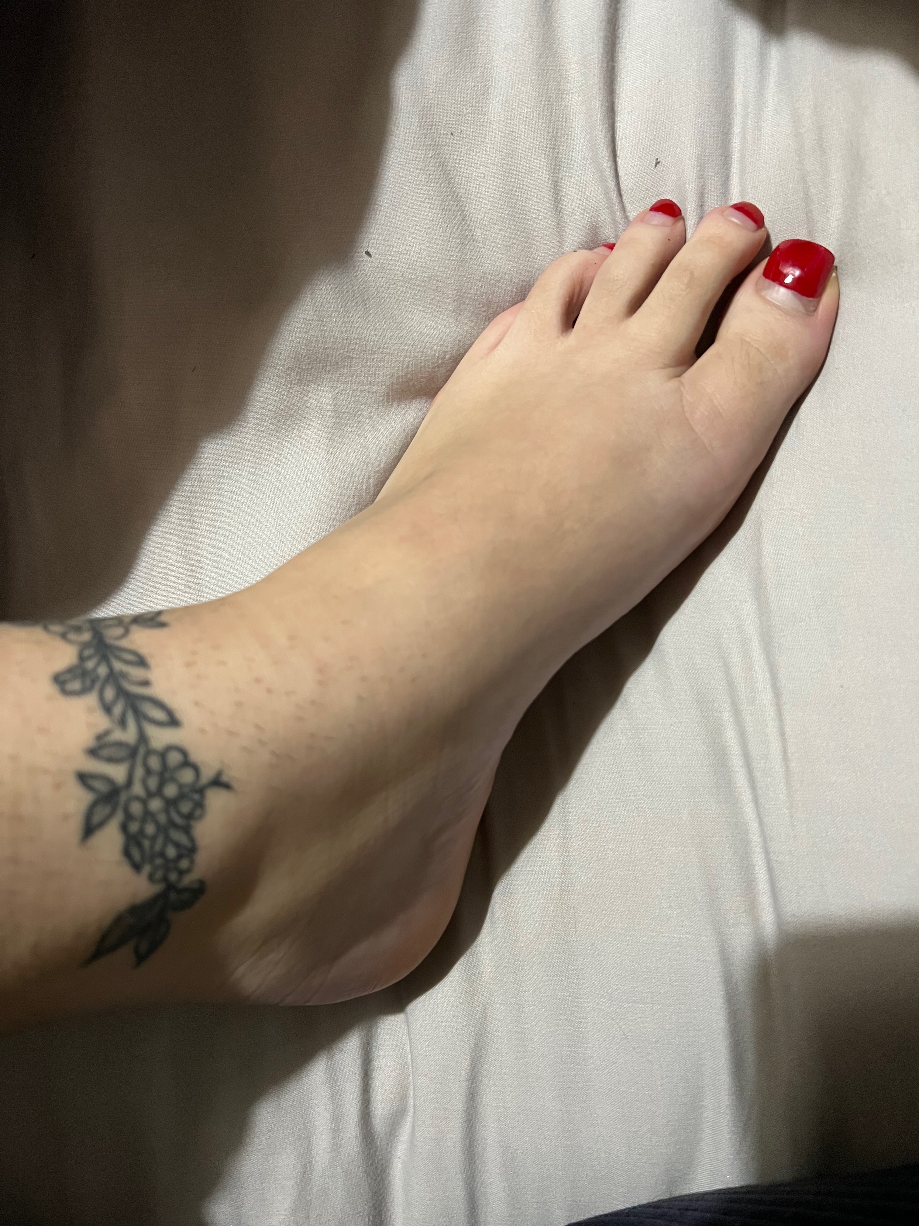 greekfeet20 profile