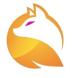 myvintagefox profile