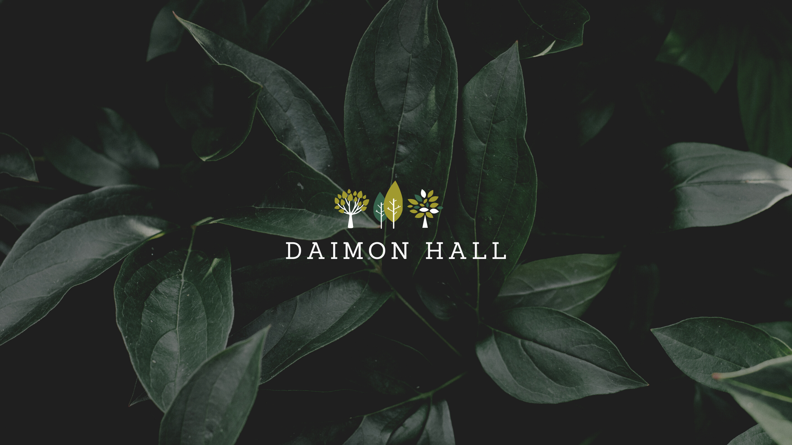 daimon_hall thumbnail