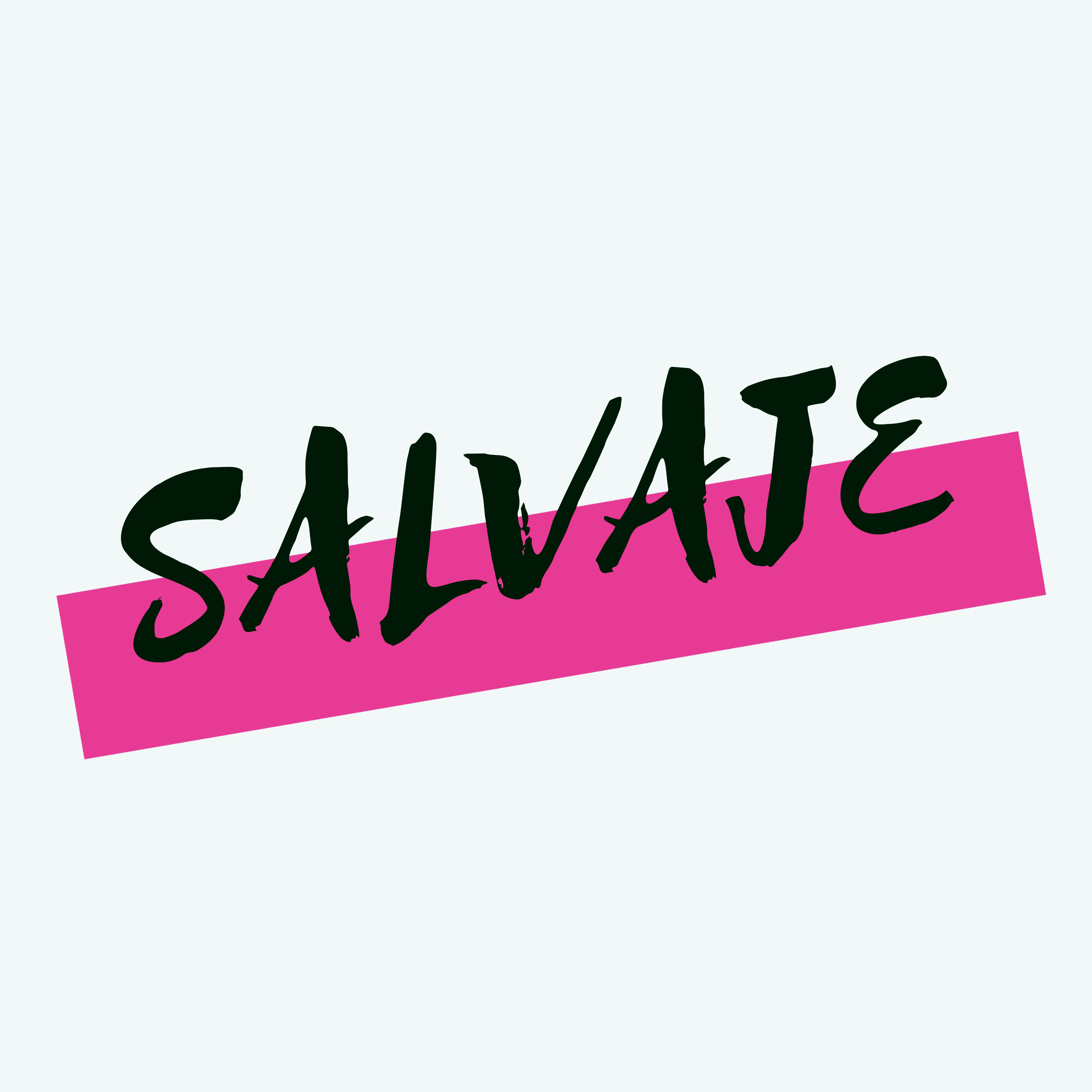 SALVAJE profile