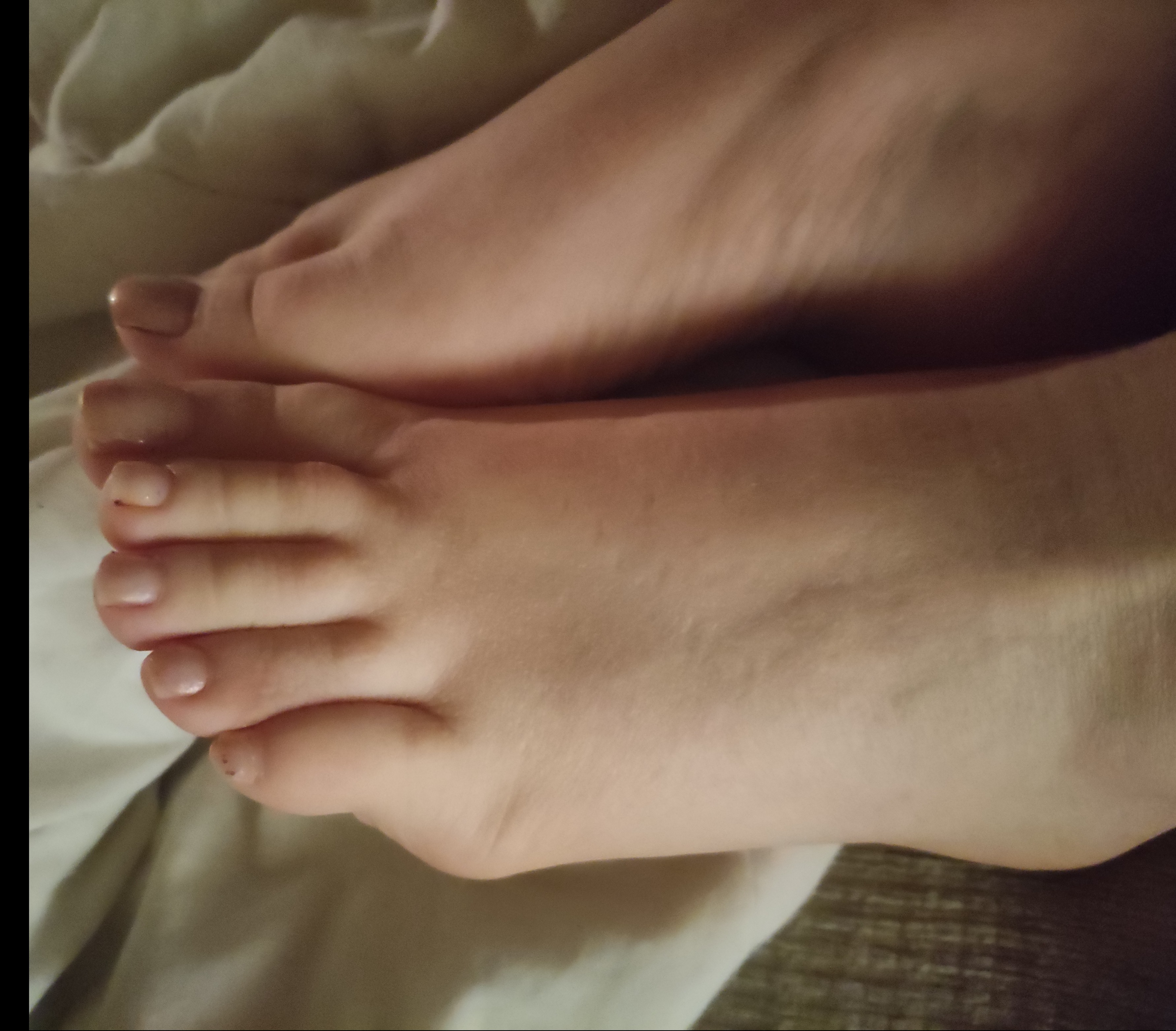 feetlovepicsforyou profile