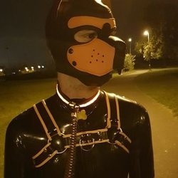 pup_qu1nn profile