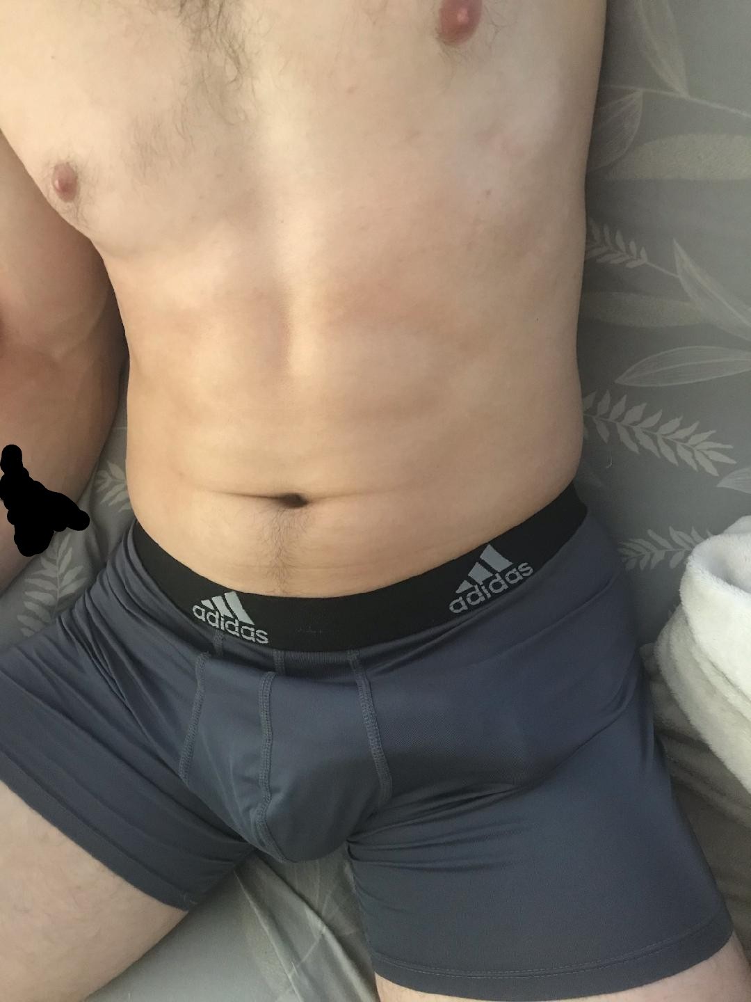 The Daily Bulge profile