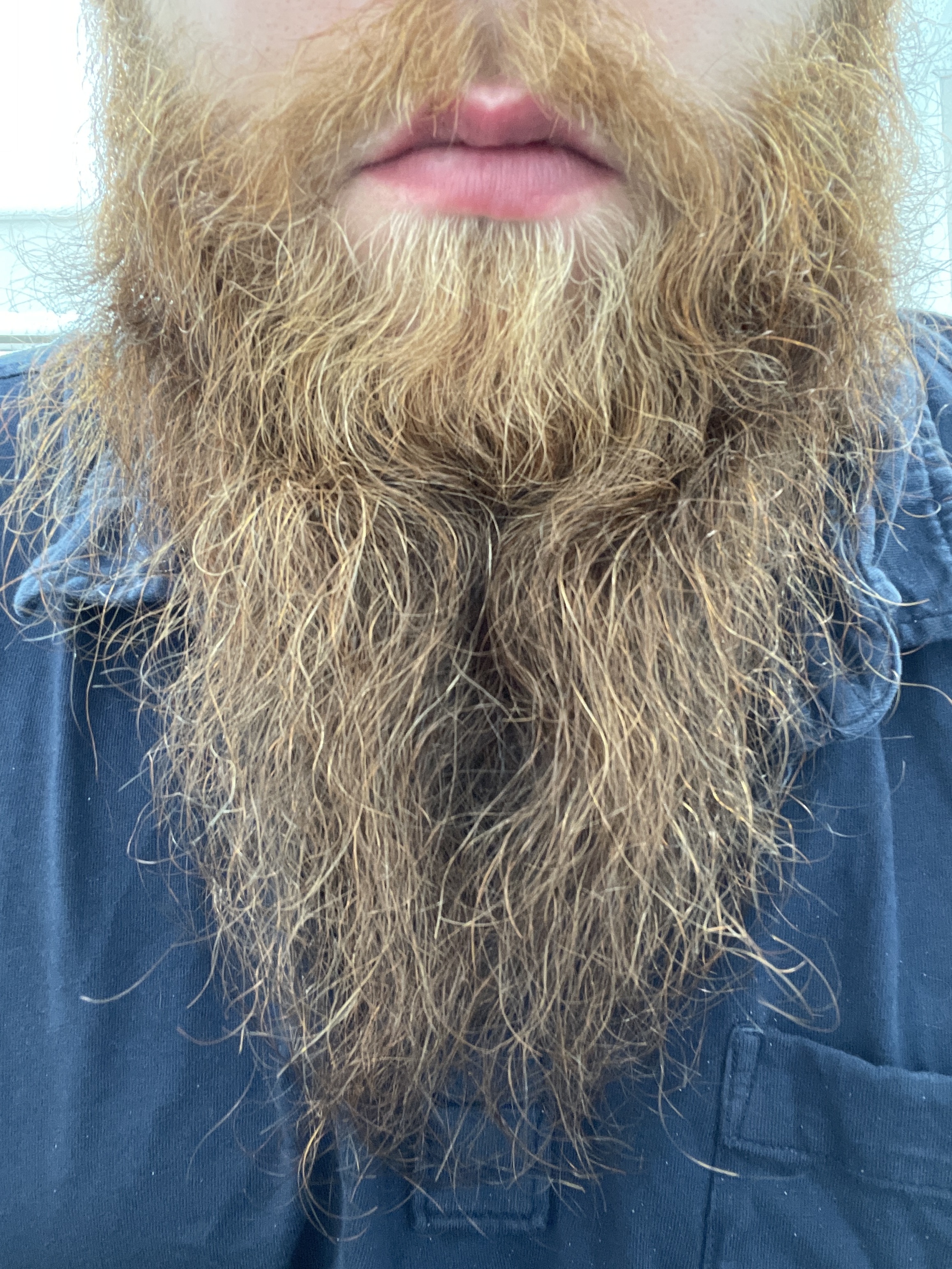 beardeddadbod13 profile