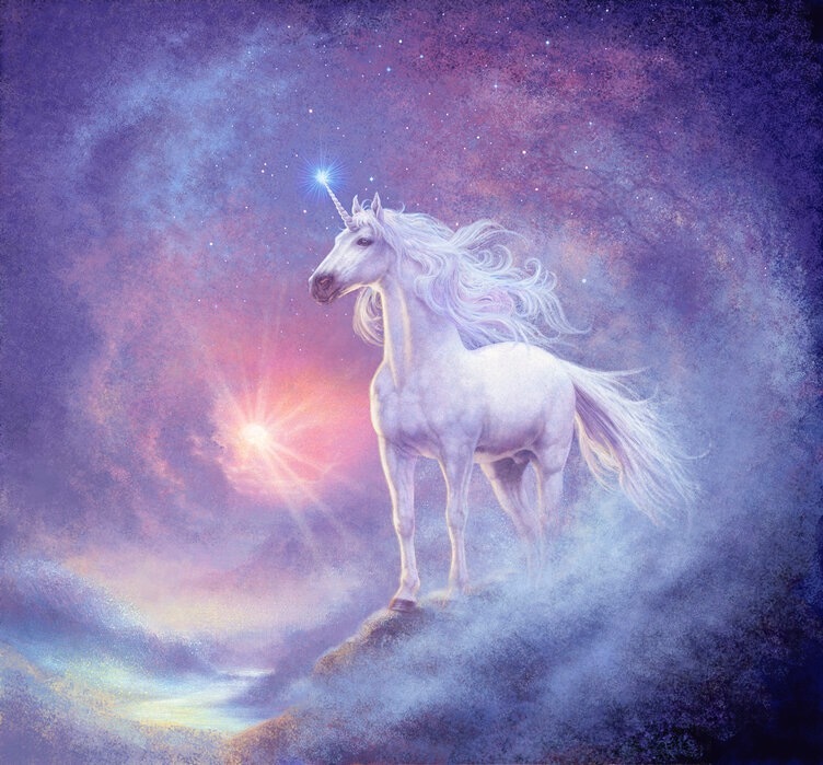 Unicorn Fireflies profile