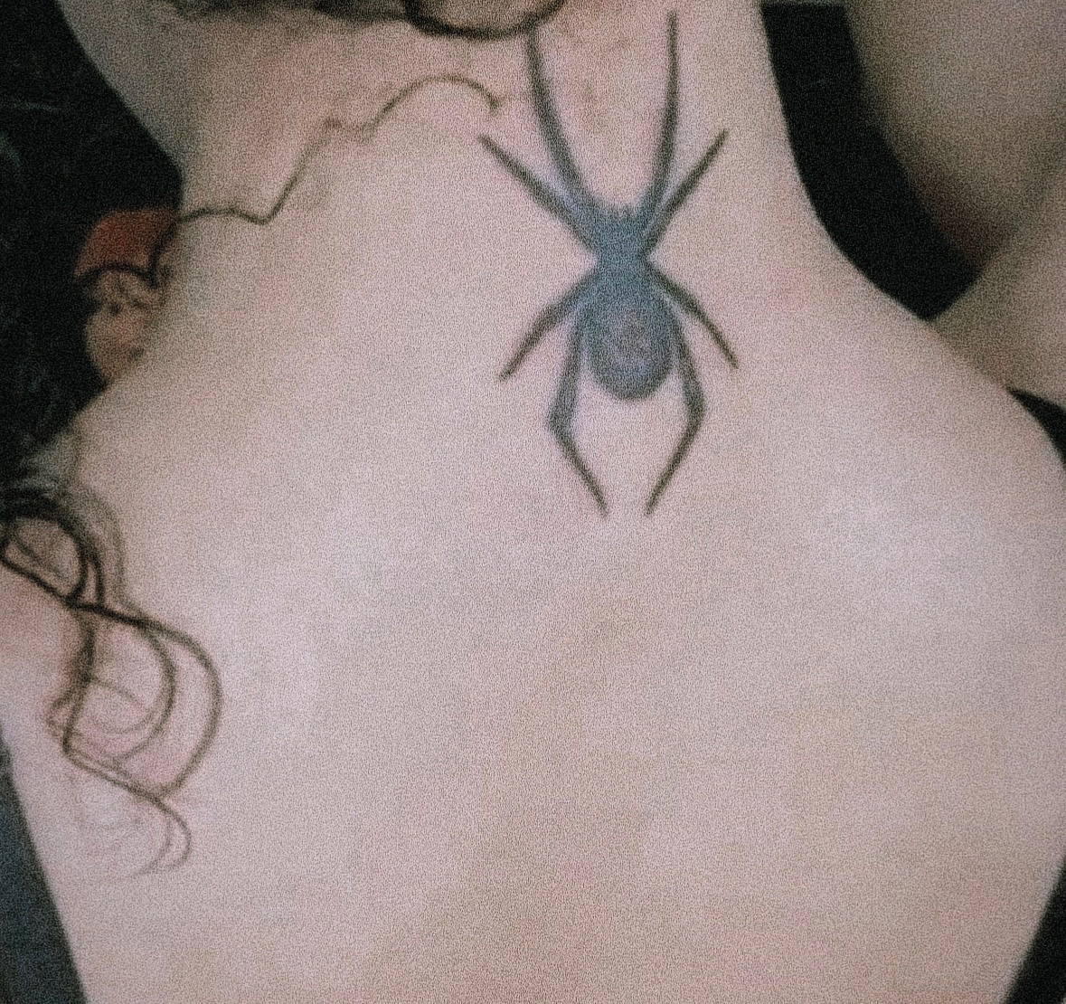 🕷️ profile