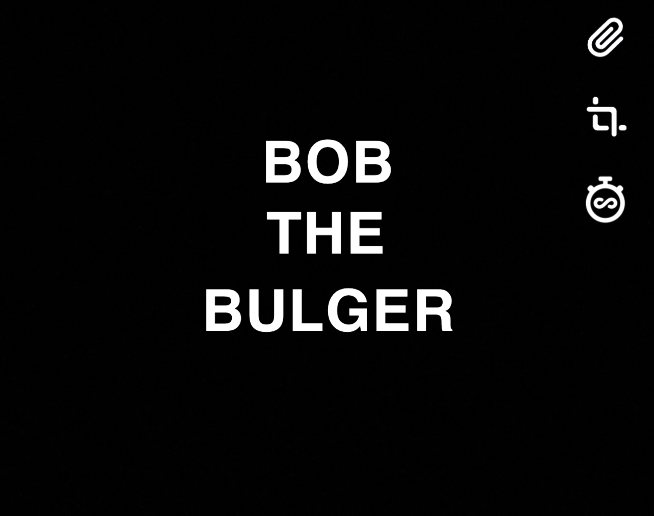 bobthebulger profile