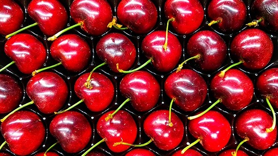 Selma Cherry thumbnail