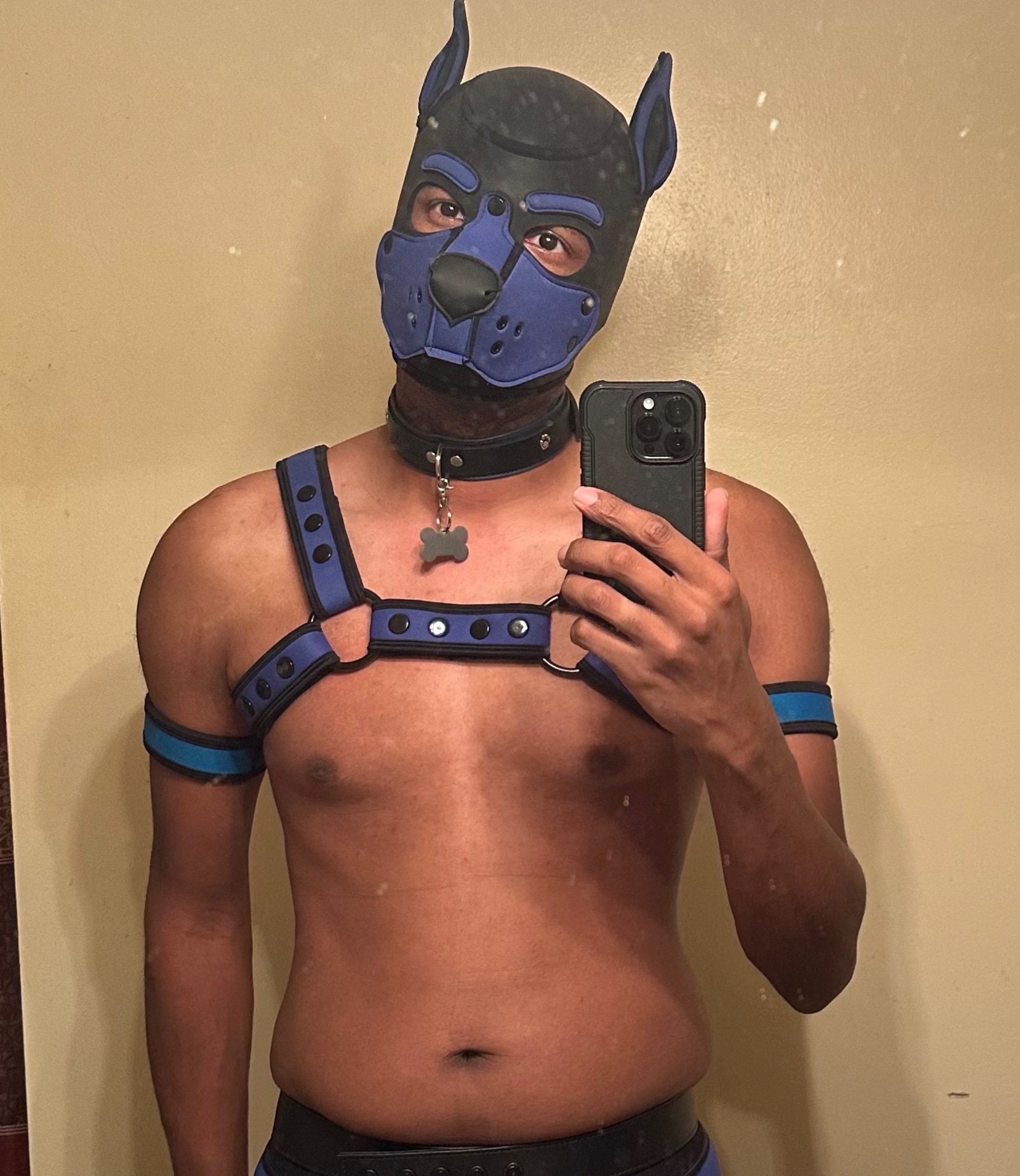 pup_ember profile