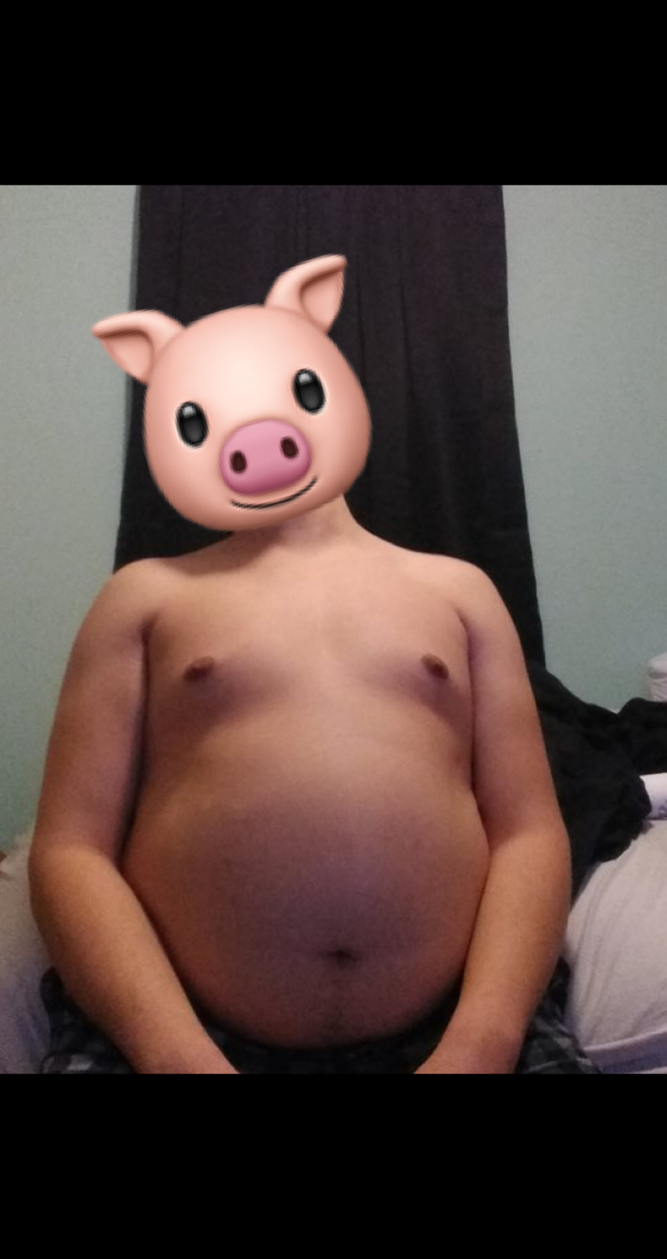 pigboiicover