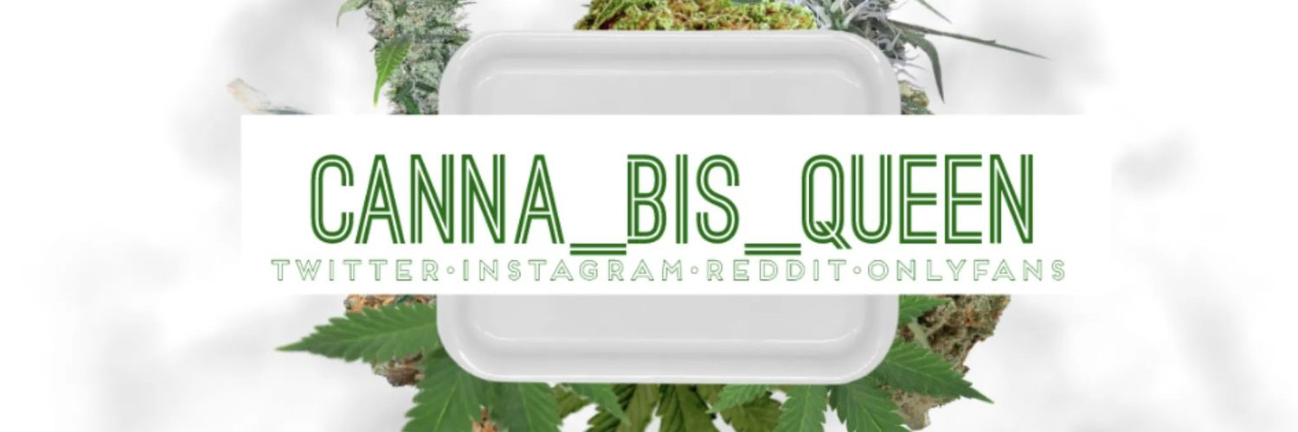 canna_bis_queen thumbnail