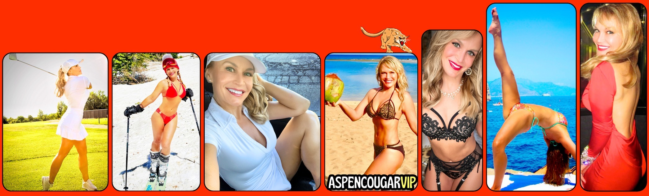 aspencougarvip thumbnail