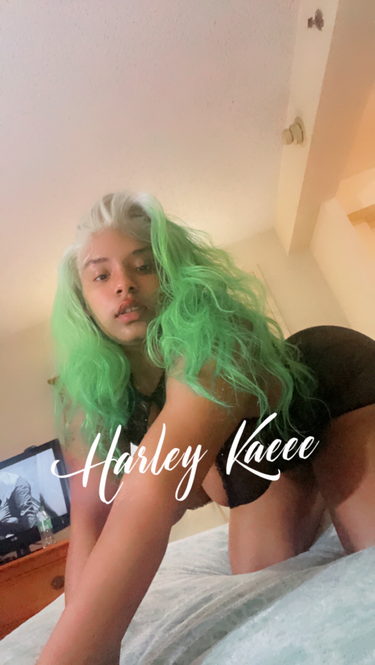 harleykaee profile