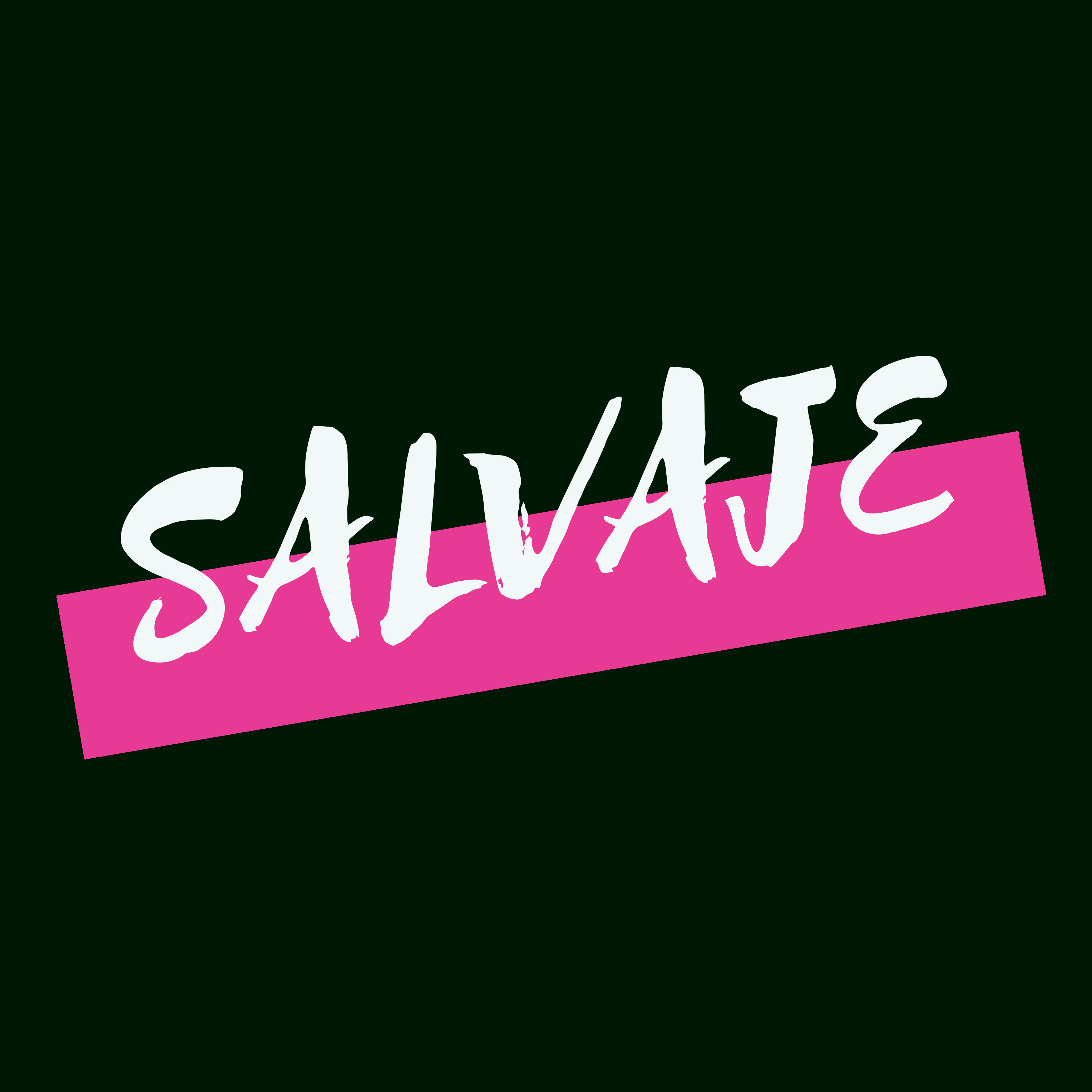 SALVAJE thumbnail