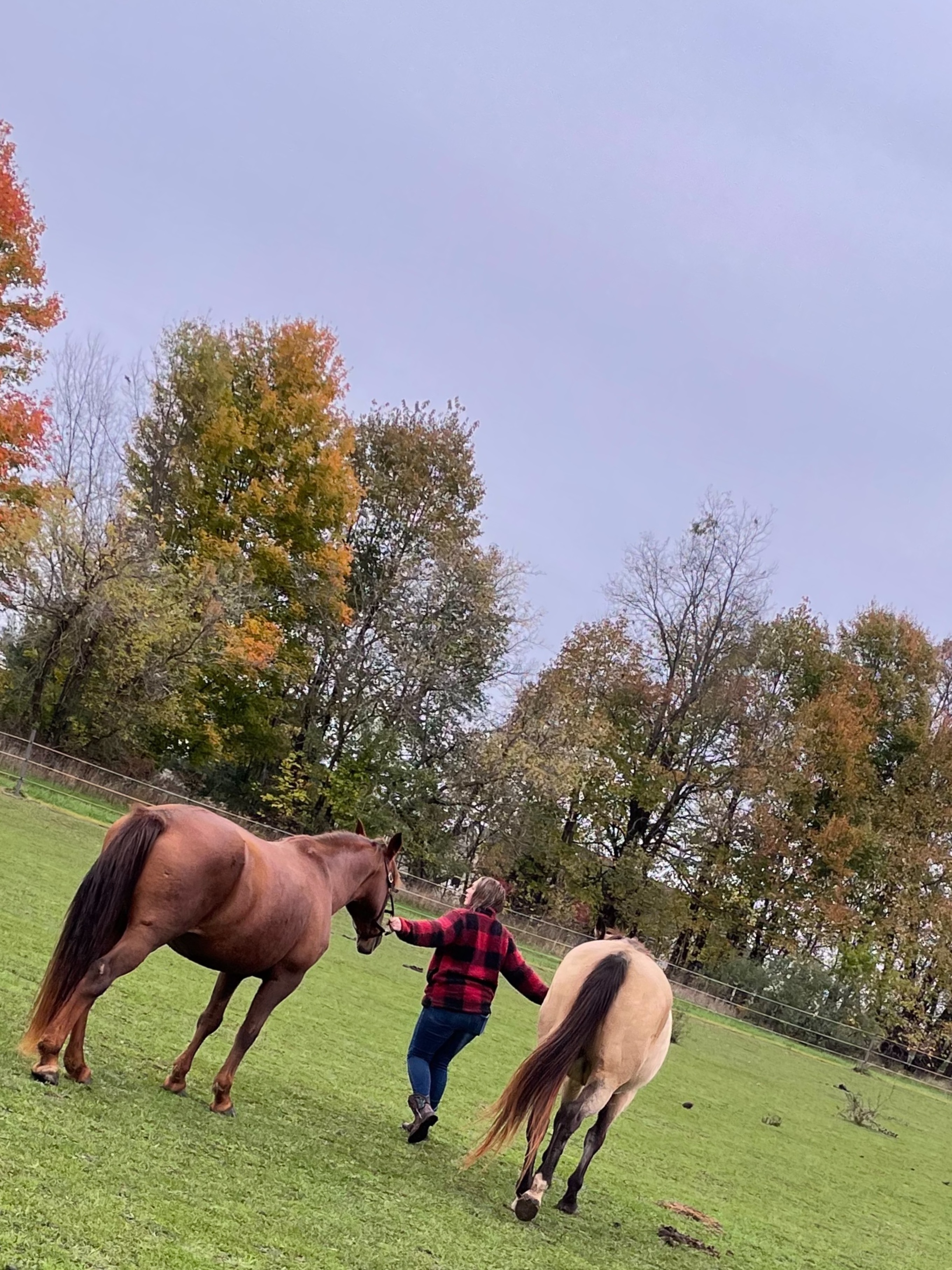 Naughty Farm Girl Fun profile